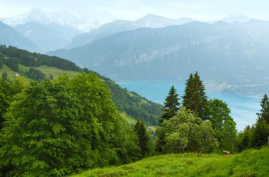 Göl Brienz yaz Üstten Görünüm (İsviçre).