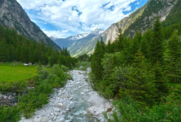 Летний пейзаж Гримсел-Пасс (Швейцария) ). — стоковое фото