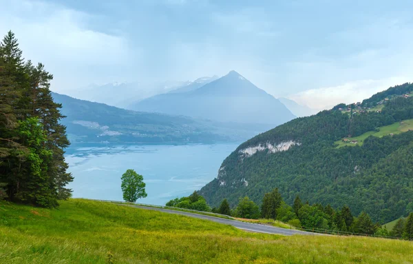 Lac Brienz vue de dessus d'été (Suisse ). — Photo