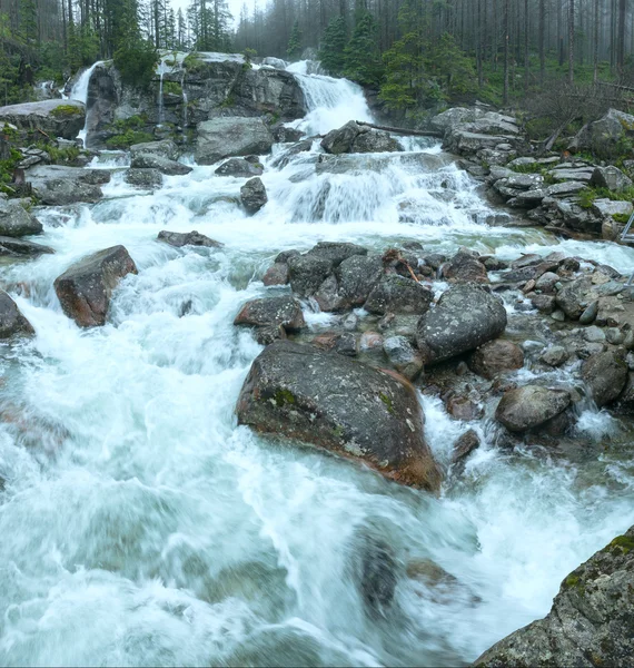 Stora kalla dalen sommaren Visa (Vysoké Tatry, Slovakien). — Stockfoto