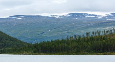 Yaz fiyort sahil peyzaj (Norveç).