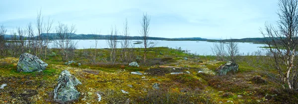 Летний вид на озеро Торнетраск (Остленд, Швеция) ) — стоковое фото