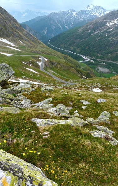 Letní krajina velký St. Bernard Pass (Švýcarsko). — Stock fotografie