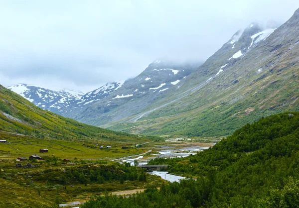 Montagne estivale (Norvège ) — Photo