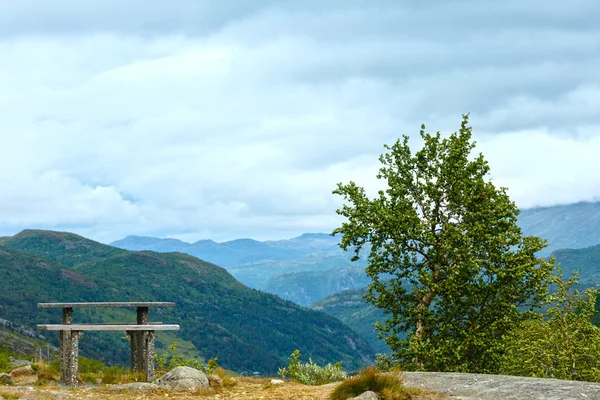 Zomer berg (Noorwegen) — Stockfoto