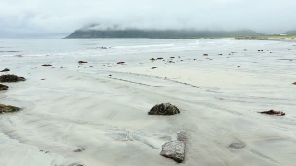 Pequeño arroyo claro que fluye hacia el mar (Noruega, Lofoten ). — Vídeos de Stock