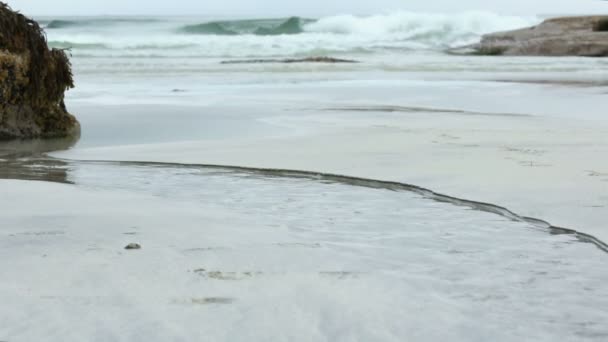 Malé jasné, proud tekoucí do moře (Norsko, Lofoty). — Stock video