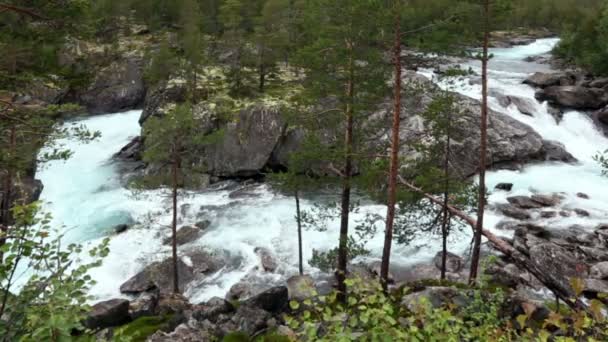 Río de montaña de verano (Noruega ) — Vídeo de stock