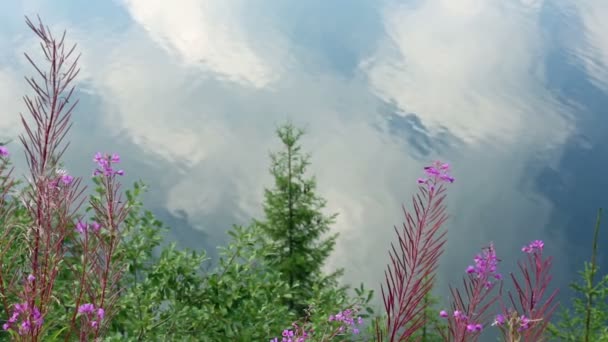 Nubes reflejos en el agua del lago y planos en frente . — Vídeo de stock