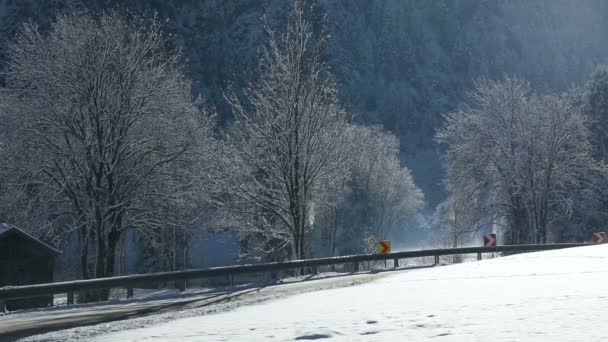 Winter mountain landscape with falling snow from trees. — Stok video