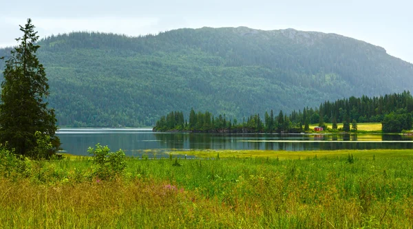 Fjord Sommer trübe Aussicht (Norwegen) — Stockfoto