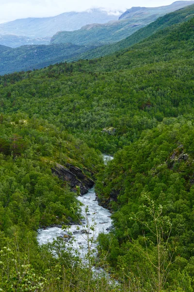 Sommerberg (Norwegen)) — Stockfoto