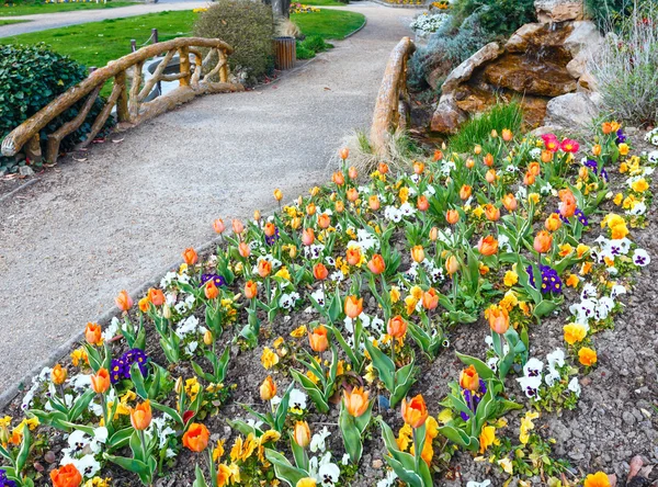 Primavera aiuola nel parco . — Foto Stock