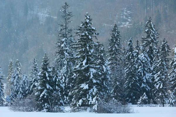 Paesaggio montano invernale — Foto Stock