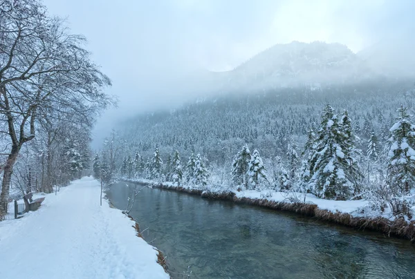 Piccolo ruscello invernale con alberi innevati . — Foto Stock