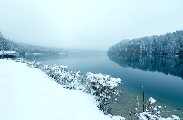 冬天 Alpsee 湖 — 图库照片