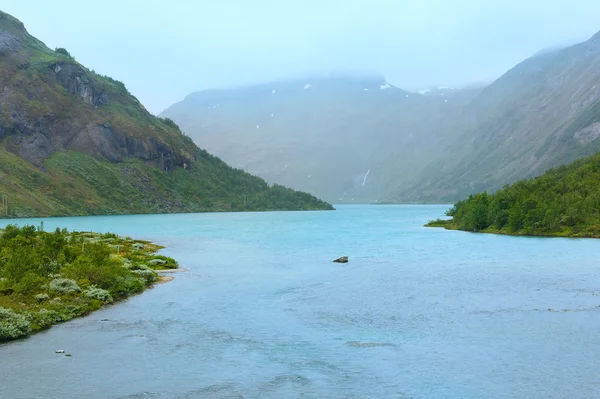 Sommarfjäll och fjorden (Norge) — Stockfoto