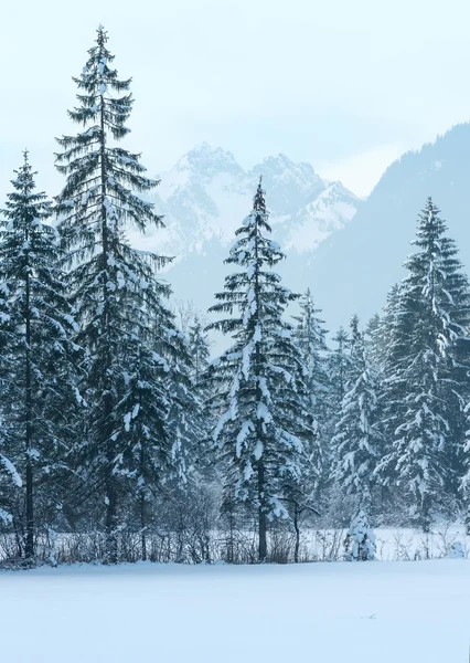 Paisaje de montaña de invierno —  Fotos de Stock