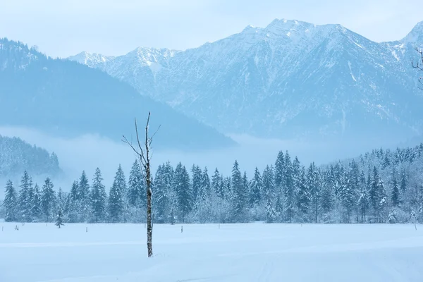 冬の山の風景 — ストック写真