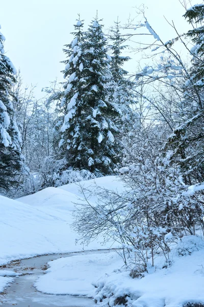 Kleine winter stream met besneeuwde bomen. — Stockfoto