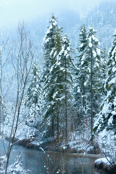 Kleine winter stream met besneeuwde bomen. — Stockfoto