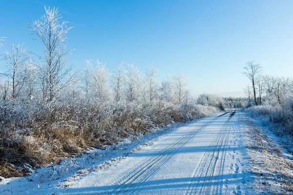 Winter country road (Poland). — 스톡 사진