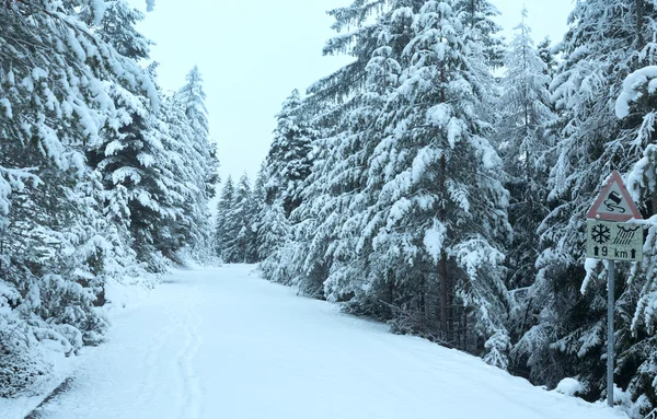 Besneeuwde bergweg pass. — Stockfoto