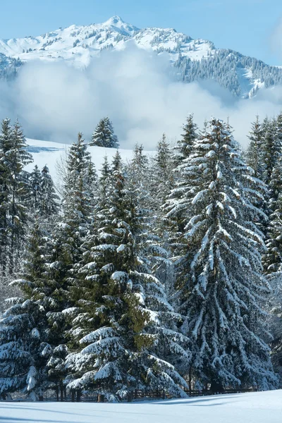 Inverno paisagem montanhosa (Áustria, Baviera ). — Fotografia de Stock