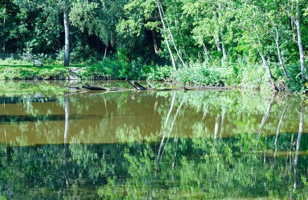 夏天湖. — 图库照片