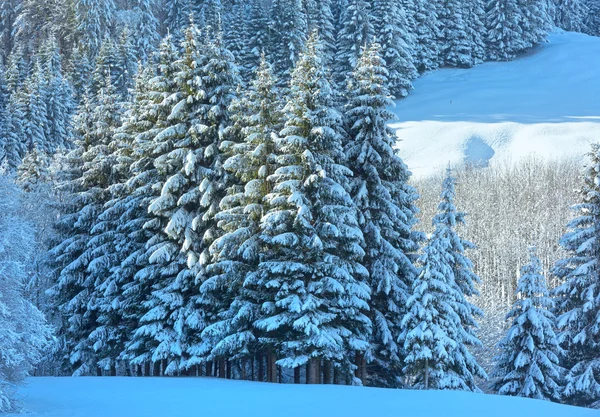 Inverno paisagem montanhosa (Áustria ). — Fotografia de Stock