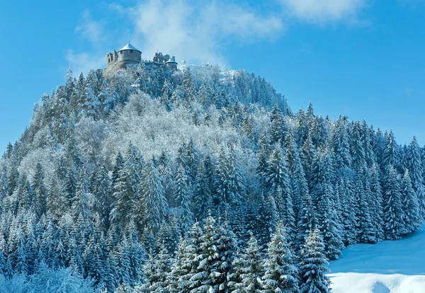 Castillo de Ehrenberg vista de invierno (Austria, Baviera ). —  Fotos de Stock