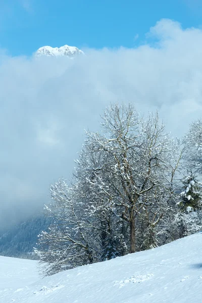 Winterliche Berglandschaft (Österreich, Bayern). — Stockfoto