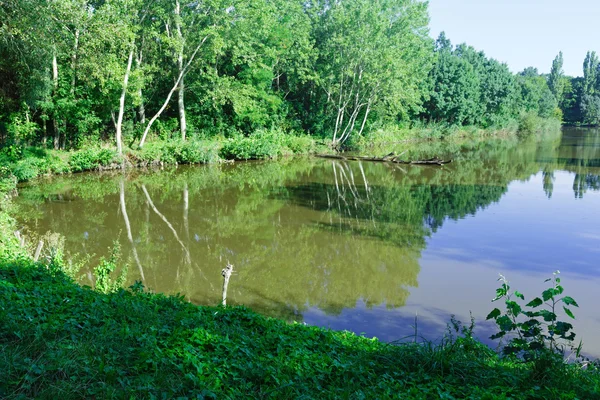 夏天湖. — 图库照片