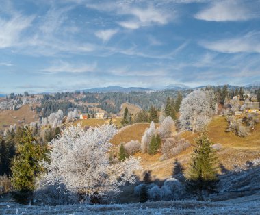 Kış geliyor. Sonbaharın sonlarına doğru, çimlerde, ağaçlarda ve yamaçlarda kırağı olan karamsar, karamsar bir sabah manzarası. Ukrayna, Karpat Dağları.