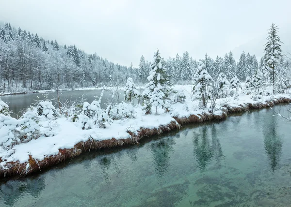 Piccolo ruscello invernale con alberi innevati . — Foto Stock