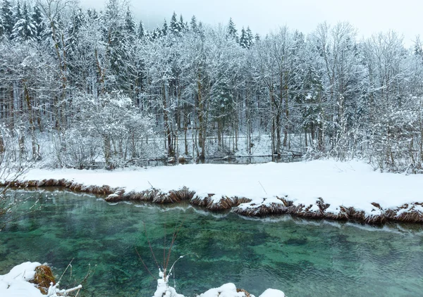 雪に覆われた木が小さい冬のストリーム. — ストック写真