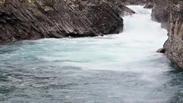 Río de montaña de verano (Noruega ) — Vídeo de stock