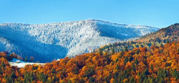 Outono floresta montanhosa — Fotografia de Stock