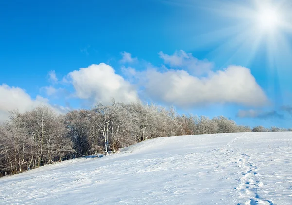 最初の冬の雪と山のブナ林 — ストック写真