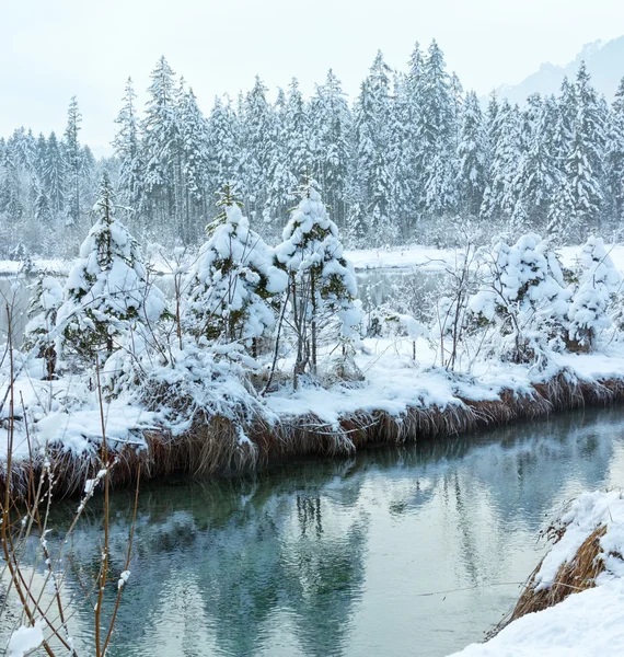 Küçük kış akarsu karlı ağaçları ile. — Stok fotoğraf