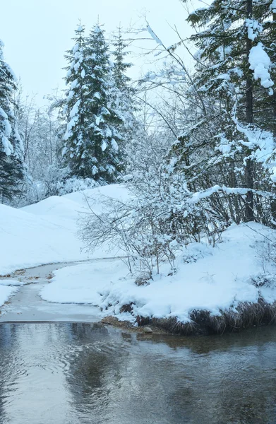 Piccolo ruscello invernale con alberi innevati . — Foto Stock