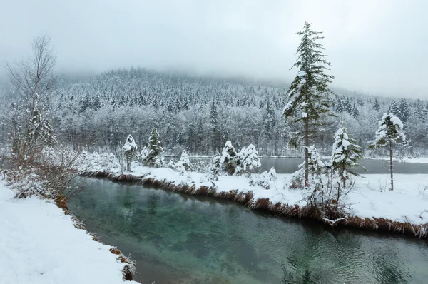 Malé zimní stream s zasněžené stromy. — Stock fotografie