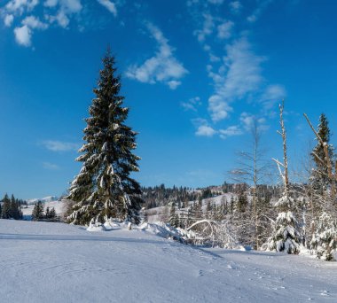 Kışın uzak dağlık dağlık köyde kırsal tepeler, ağaçlar ve tarım arazileri.
