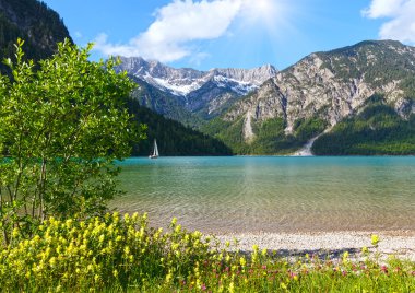 plansee yaz peyzaj (Avusturya).