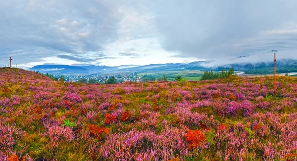 Вересень ранок сільські передгір'я з квітами погодних умов — стокове фото