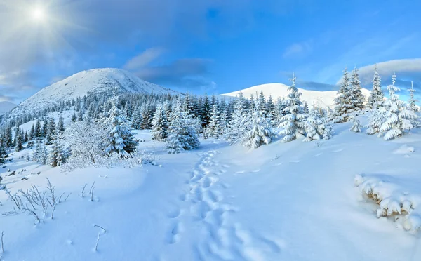 Morgon vintern bergspanorama. — Stockfoto