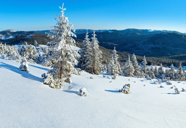 Manhã inverno paisagem de montanha (Cárpatos, Ucrânia ) — Fotografia de Stock