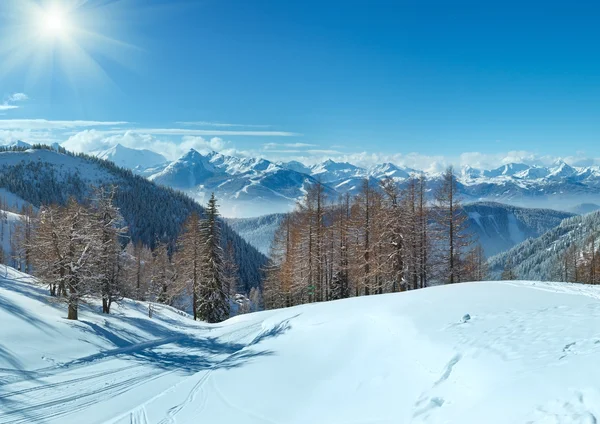 冬季小树林附近顶石山山地块 — 图库照片