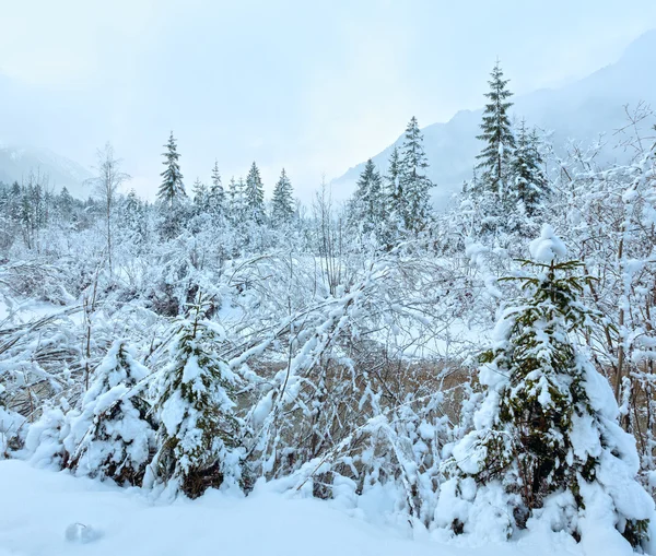 Pequeña vista del arroyo invernal a través de árboles nevados . — Foto de Stock