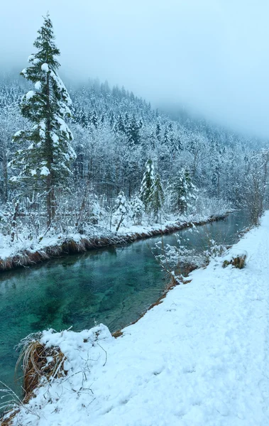 Pequeño arroyo de invierno con árboles nevados . — Foto de Stock